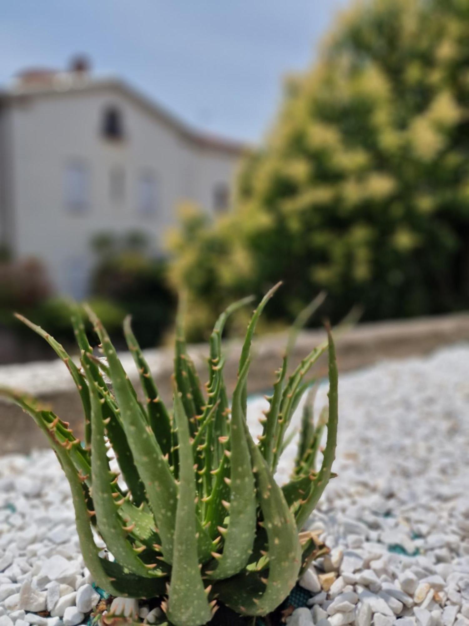 Maison Ping ,en Face Des Arenes * Beziers
