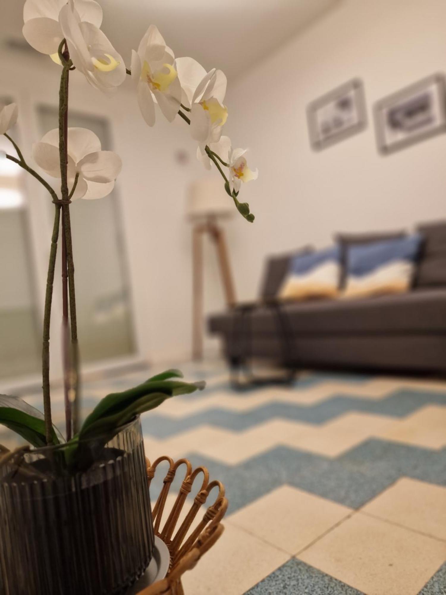 Apartment Maison Ping ,en Face Des Arenes Beziers